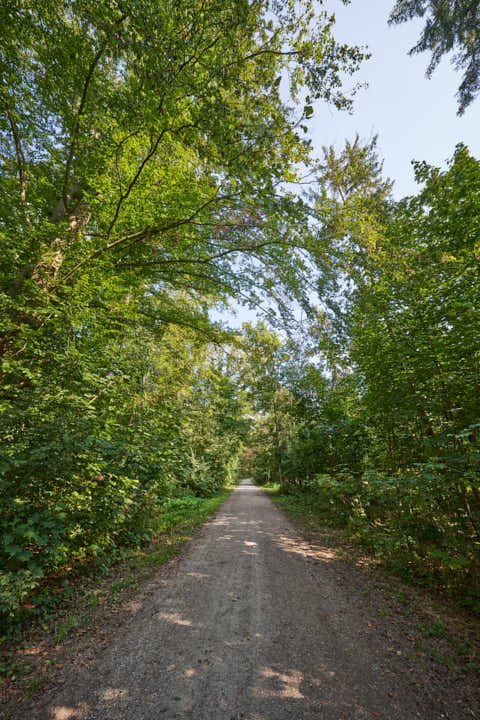 Gemeinde Altötting Landkreis Altötting Forst Fürstenweg (Dirschl Johann) Deutschland AÖ